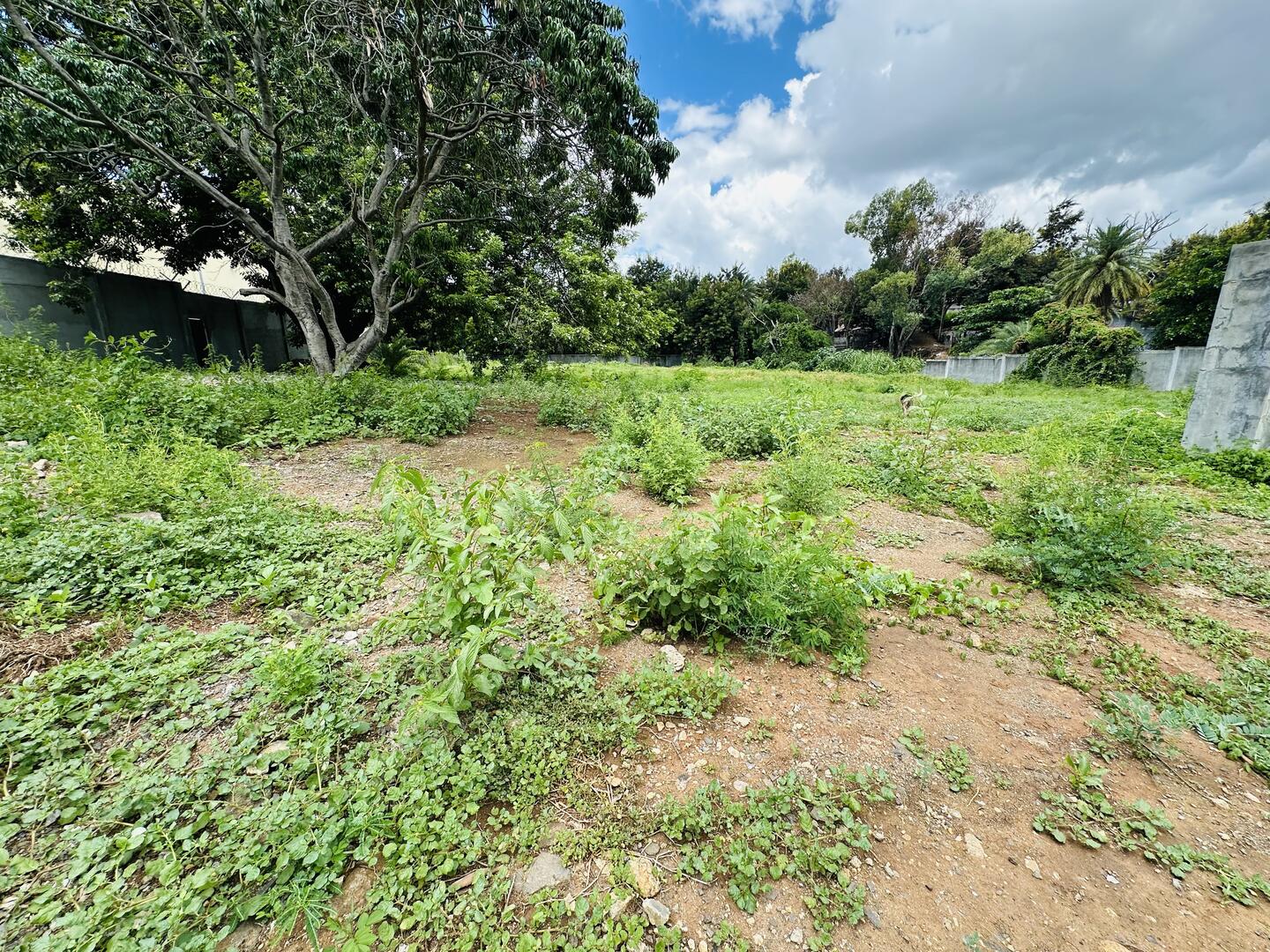 Commercial land of 4391 m2 for sale in Riche Terre, north, Mauritius – LexpressProperty.com | 721951 | Ref01