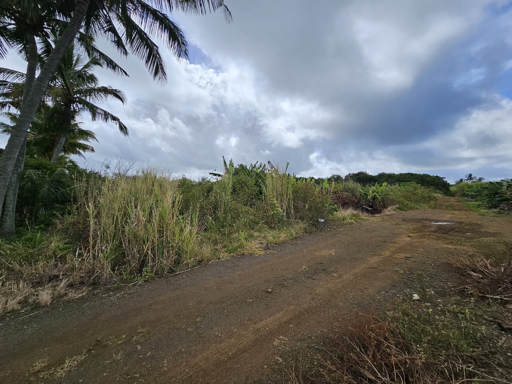 Agricultural land of 8146.1 m2 for sale in Union Vale, south, Mauritius – LexpressProperty.com | 735121 | Ref01