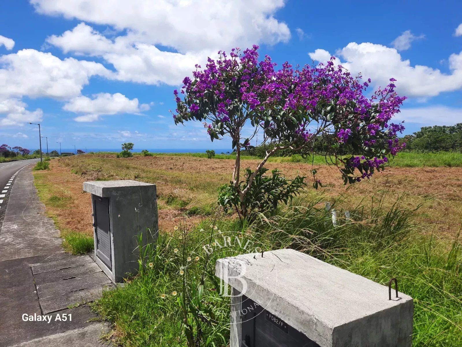 Residential land of 4121 m2 for sale in Bois Chéri, south, Mauritius – LexpressProperty.com | 728046 | Ref01