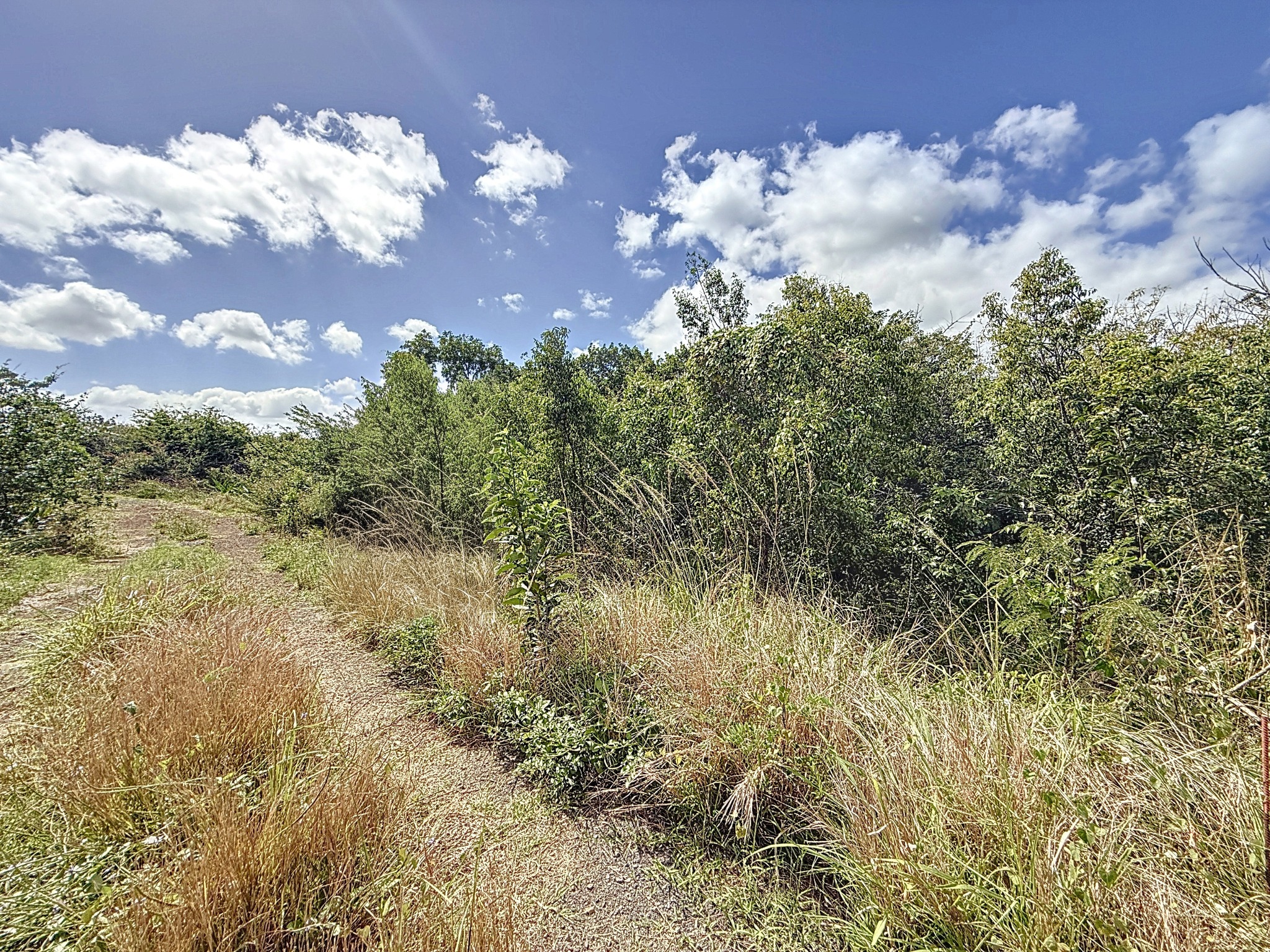 Residential land of 520 m2 for sale in Péreybère, north, Mauritius – LexpressProperty.com | 737357 | Ref01