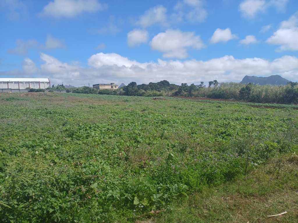 Terrain agricole de 9496.73 m2 en vente à Petit Camp, centre, île Maurice – LexpressProperty.com | 738579 | Ref01