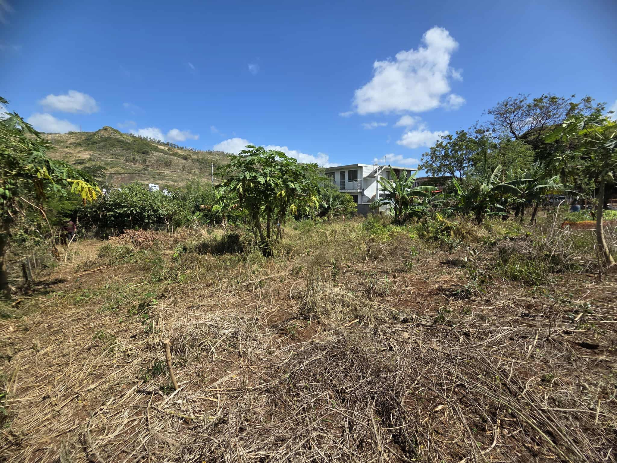 Property – LexpressProperty.com | 738717 | Ref01