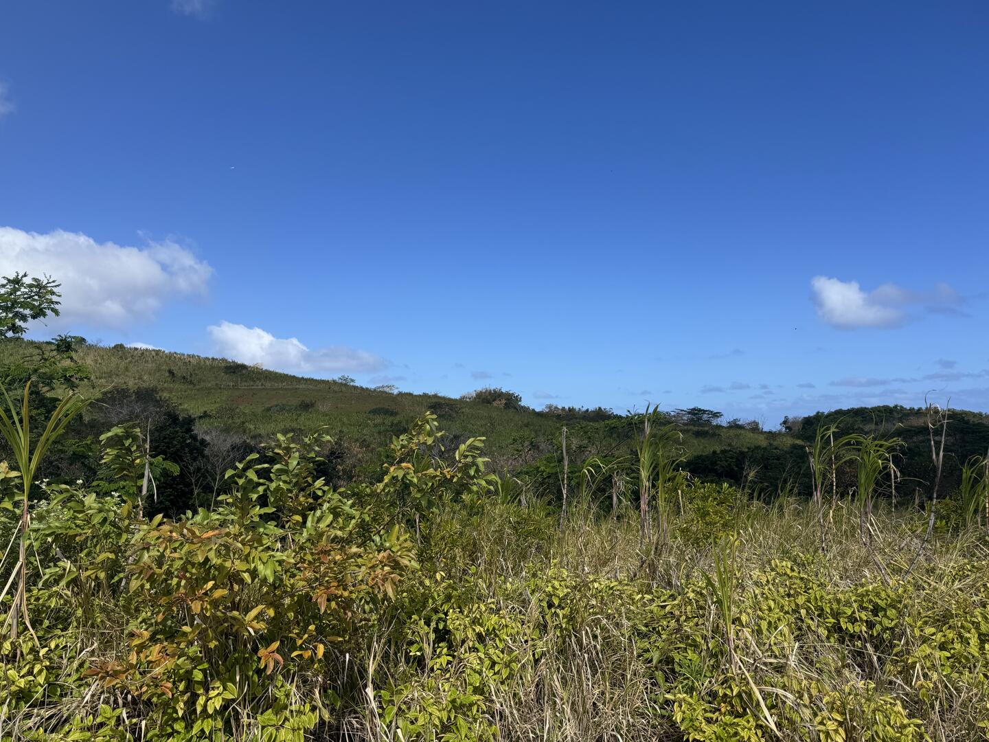 Terrain agricole de 2110 m2 en vente à Baie du Cap, sud, île Maurice – LexpressProperty.com | 740284 | Ref01