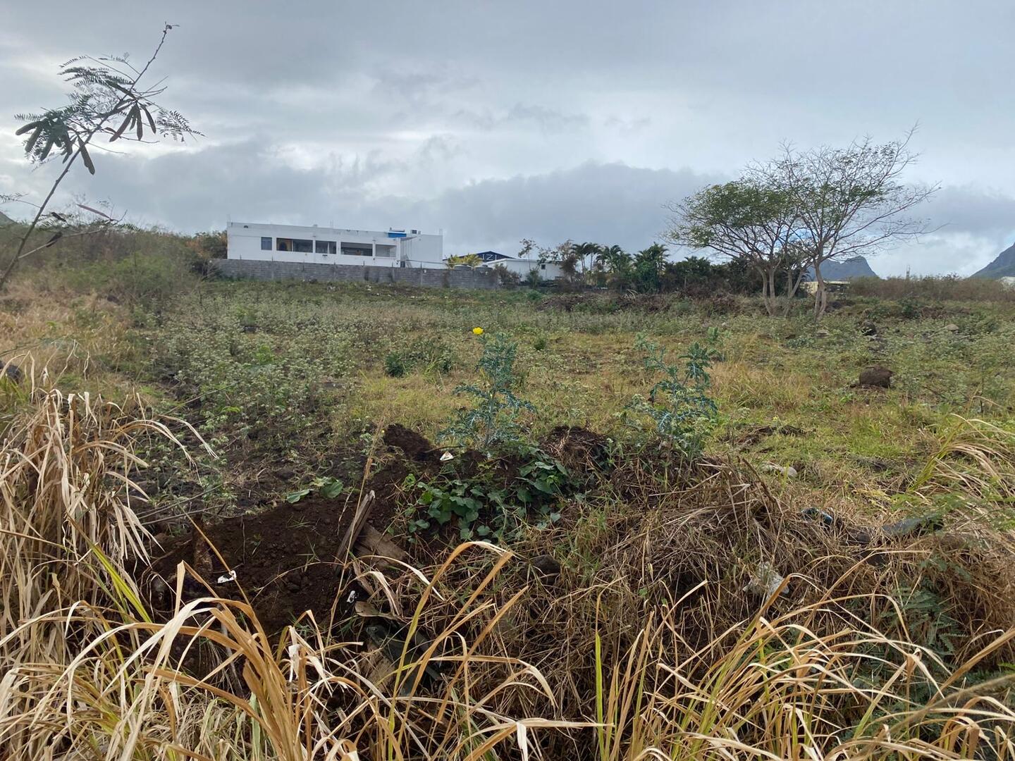 Residential land of 6536 m2 for sale in Bambous, west, Mauritius – LexpressProperty.com | 740969 | Ref01