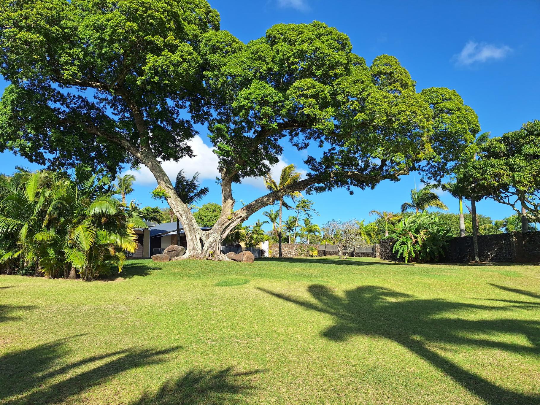 Property – LexpressProperty.com | 727154 | Ref01