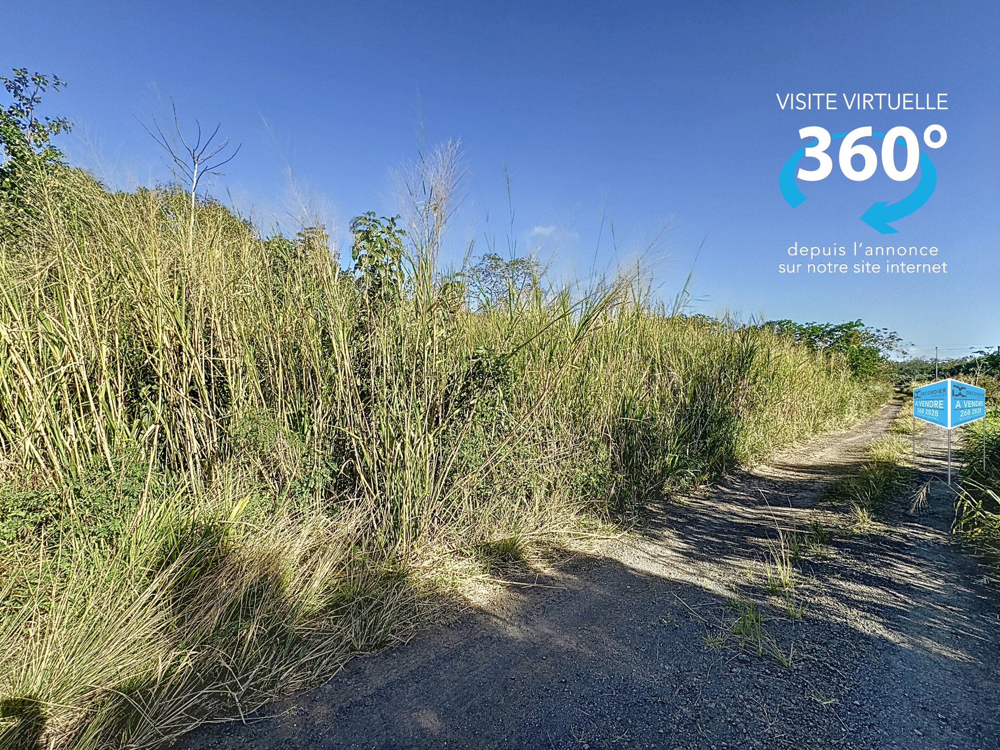 Agricultural land of 1980.2 m2 for sale in The Vale, north, Mauritius – LexpressProperty.com | 736874 | Ref01