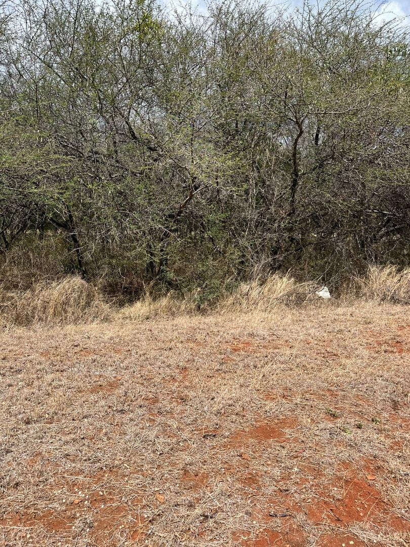 Residential land of 2110 m2 for sale in Black River, west, Mauritius – LexpressProperty.com | 747370 | Ref01