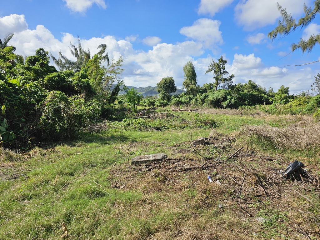 Residential land of 1266.7 m2 for sale in Riambel, south, Mauritius – LexpressProperty.com | 747408 | Ref01