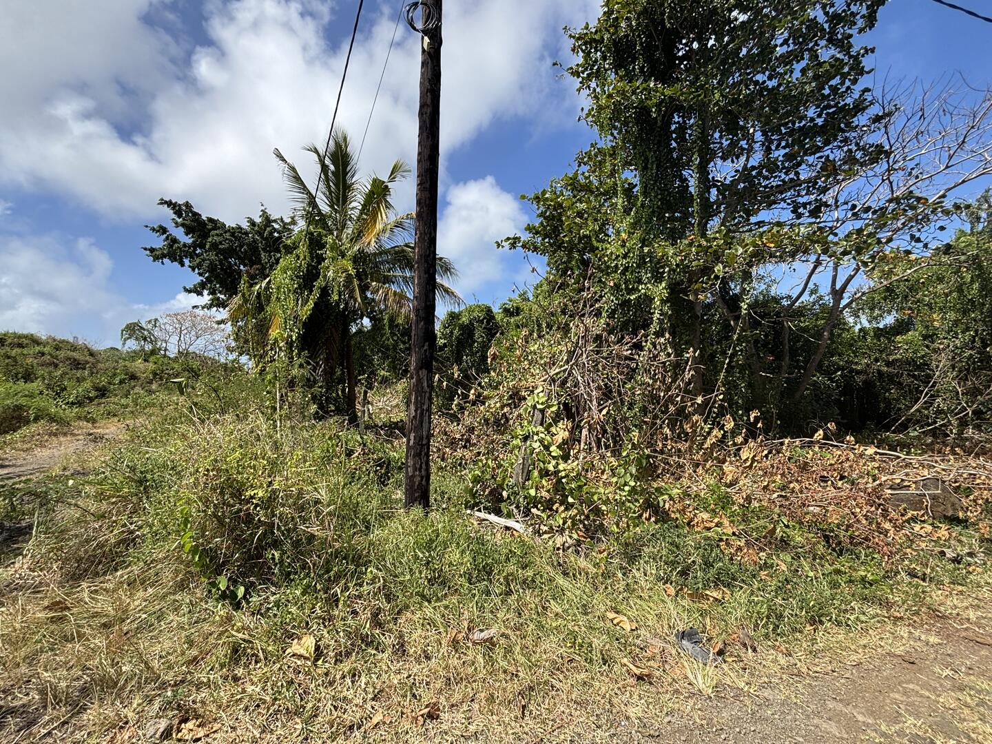 Agricultural land of 4850 m2 for sale in St Antoine, north, Mauritius – LexpressProperty.com | 747595 | Ref01