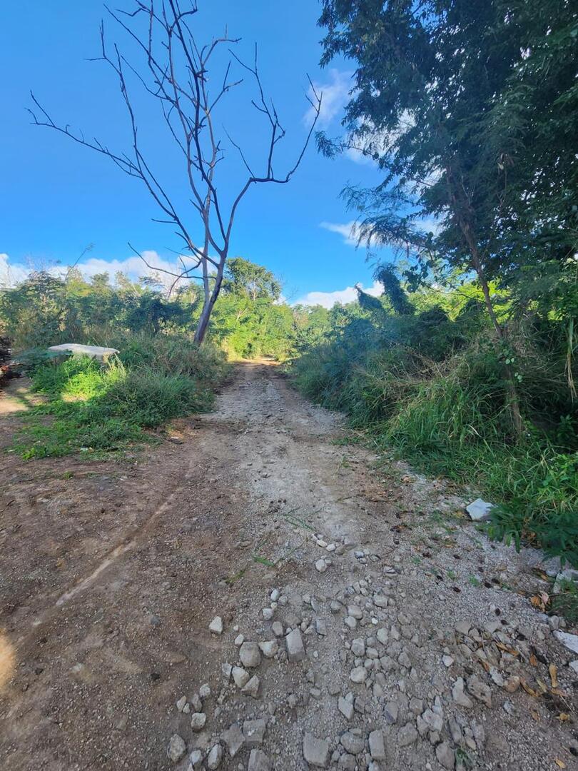 Property – LexpressProperty.com | 748434 | Ref01