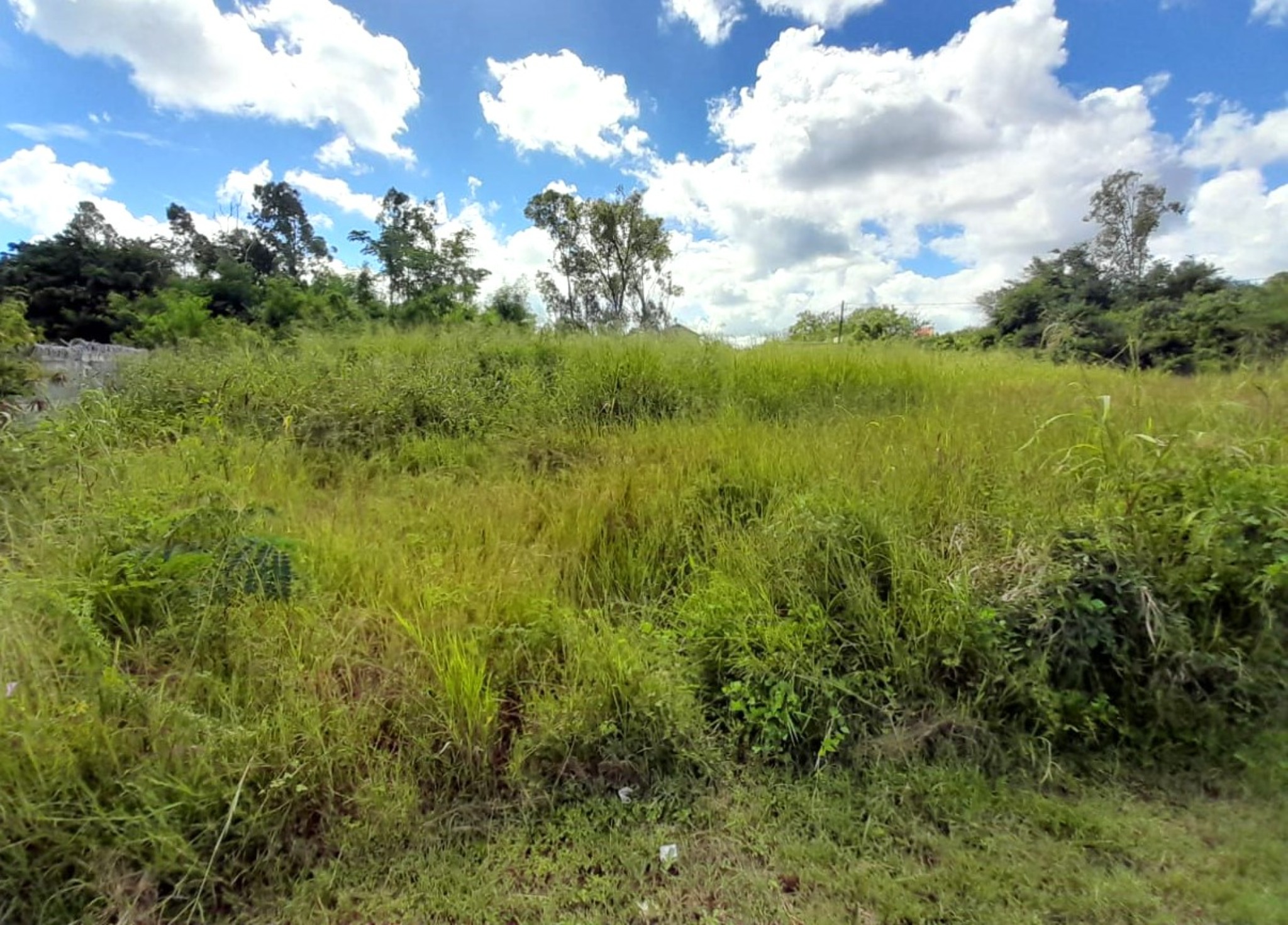 Residential land of 500.173095 m² for sale in Port Louis, north, Mauritius – LexpressProperty.com | 744253 | Ref01