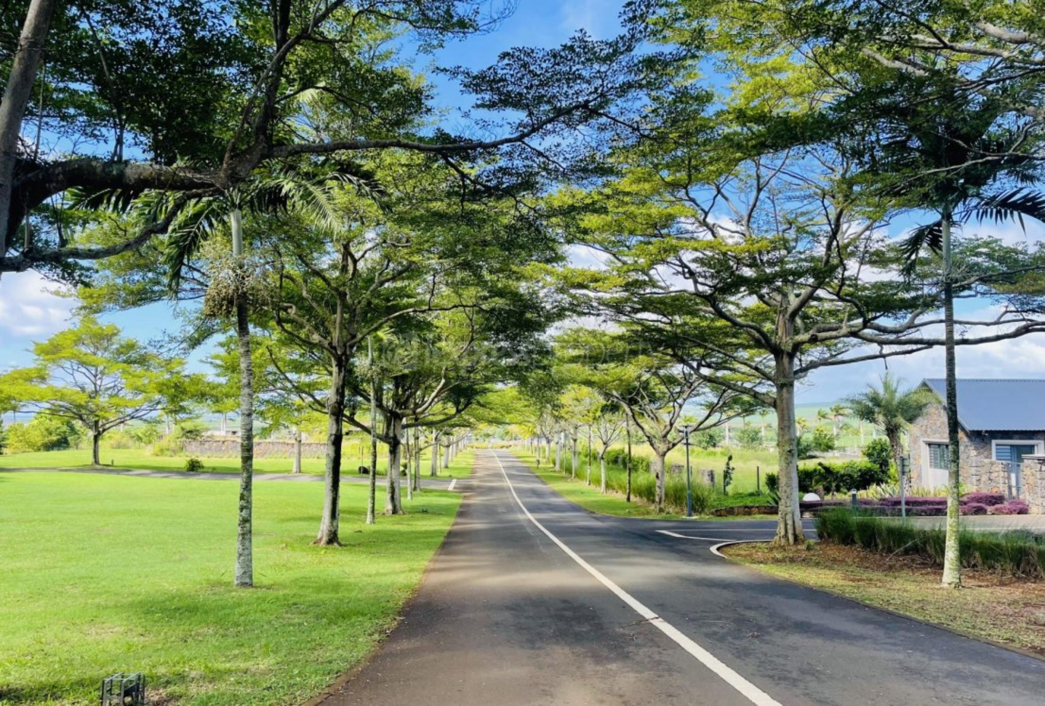 Terrain résidentiel de 1031 m2 en vente à Belle Vue Harel, nord, île Maurice – LexpressProperty.com | 745113 | Ref01