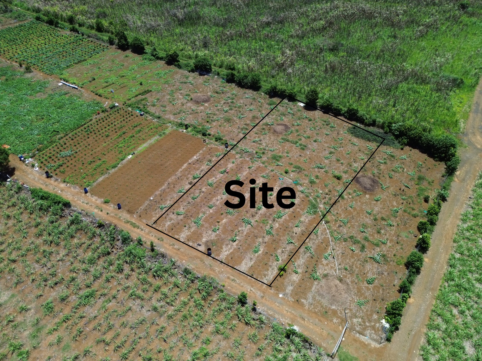 Agricultural land of 1139.6349 m² for sale in Vacoas, center, Mauritius – LexpressProperty.com | 766476 | Ref01