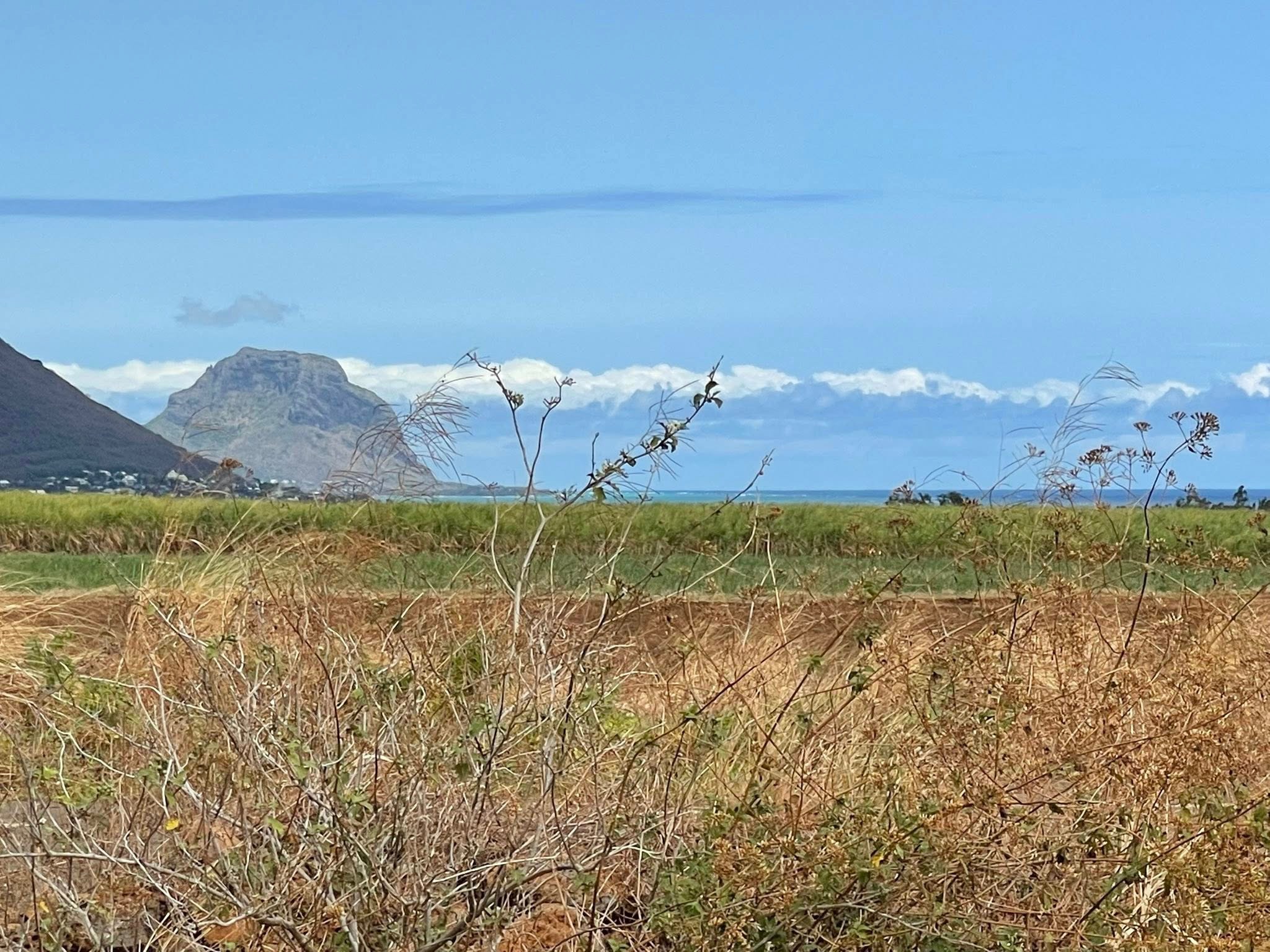 Residential land of 844.174 m² for sale in Flic en Flac, west, Mauritius – LexpressProperty.com | 695301 | Ref01