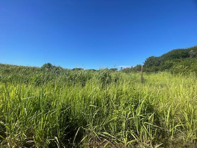 Terrain agricole de 4895 m2 en vente à Petit Raffray, nord, île Maurice – LexpressProperty.com | 767868 | Ref01