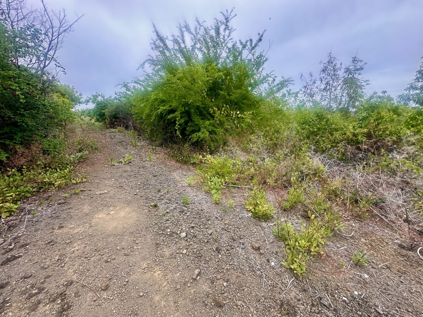 Residential land of 4305 m2 for sale in Grand Gaube, north, Mauritius – LexpressProperty.com | 769630 | Ref01