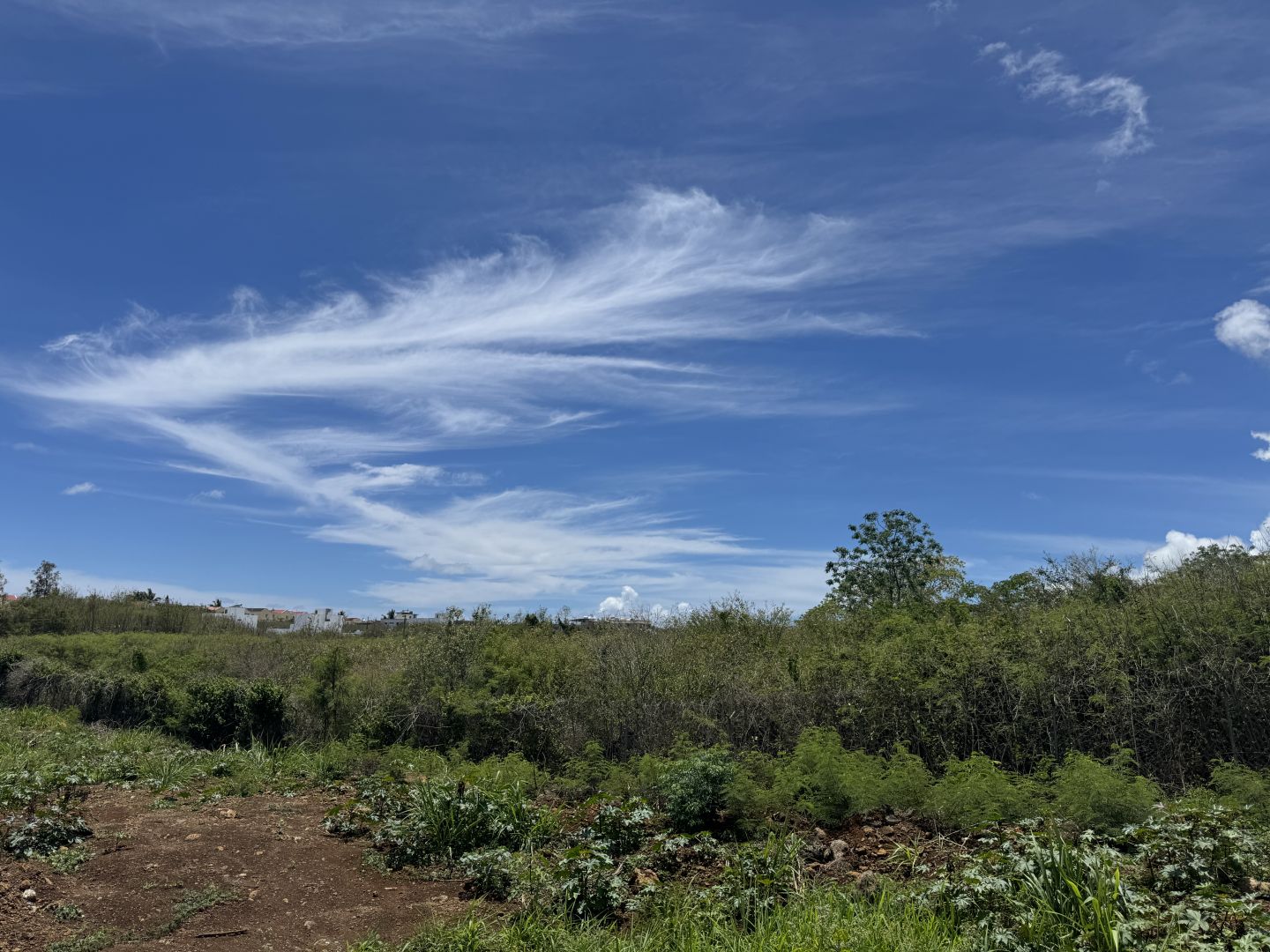 Residential land of 14435 m2 for sale in Grand Bay, north, Mauritius – LexpressProperty.com | 765837 | Ref01
