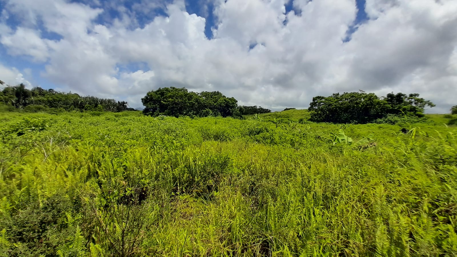 Agricultural land of 2828 m2 for sale in Quartier Militaire, center, Mauritius – LexpressProperty.com | 773175 | Ref01