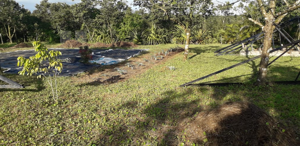 Terrain agricole de 16884 m2 en vente à Mare Longue, centre, île Maurice – LexpressProperty.com | 773543 | Ref01
