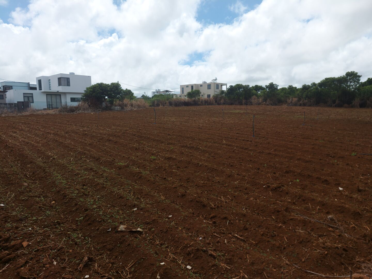 Terrain agricole de 2216 m2 en vente à l'Avenir, centre, île Maurice – LexpressProperty.com | 773815 | Ref01