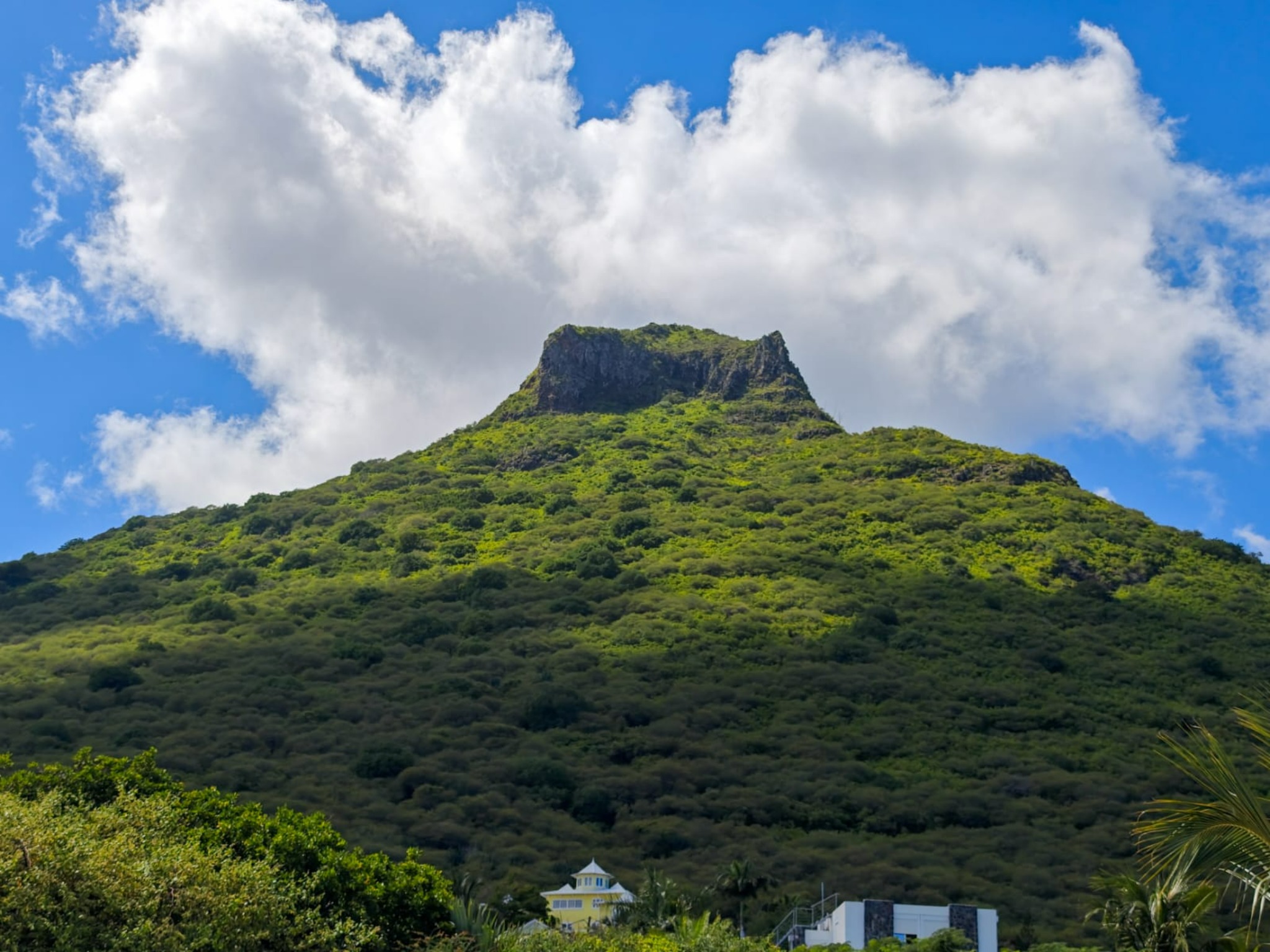 Penthouse 3 Chambre(s) en location à Tamarin, ouest, île Maurice – LexpressProperty.com | 774136 | Ref01