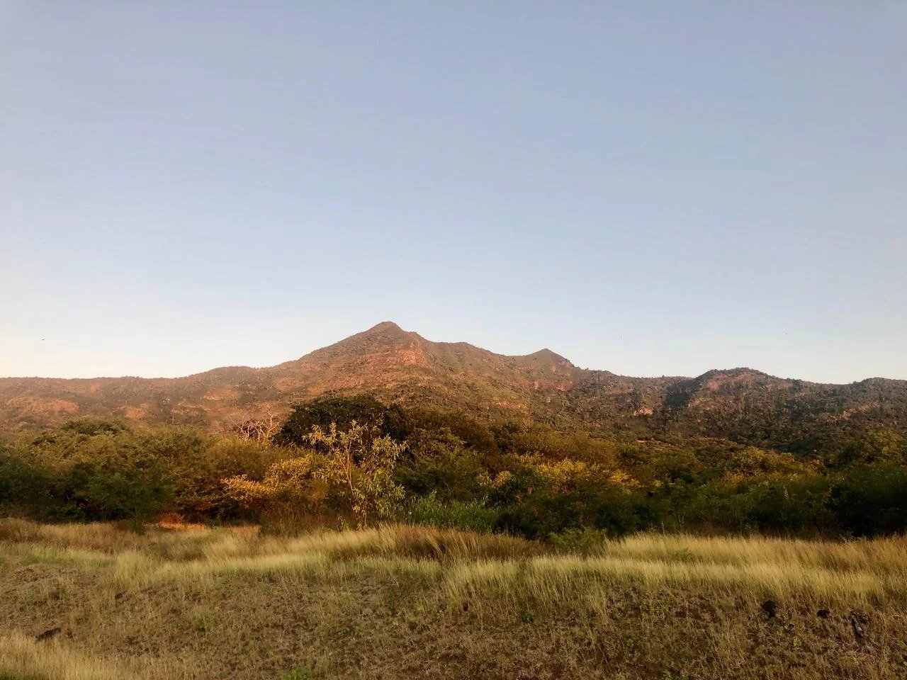 Residential land of 1156 m2 for sale in Petite Rivière Noire, west, Mauritius – LexpressProperty.com | 773916 | Ref01