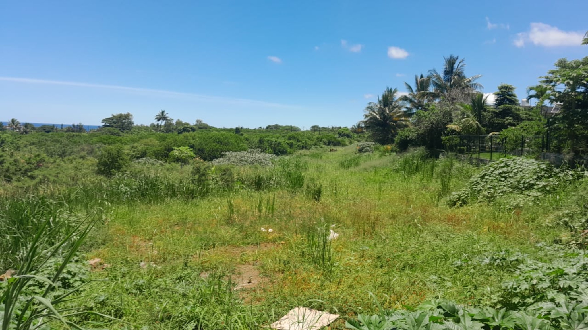 Commercial land of 33766.96 m² for sale in Chemin Grenier, south, Mauritius – LexpressProperty.com | 771018 | Ref01