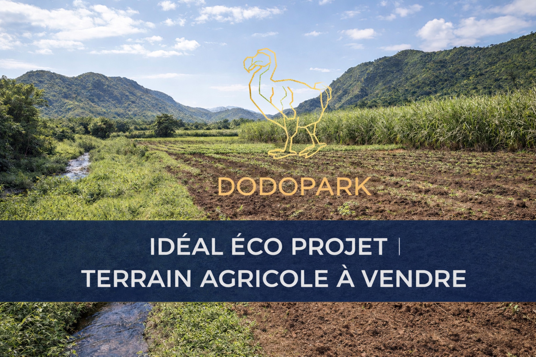 Agricultural land of 4220.87 m² for sale in Chamouny, south, Mauritius – LexpressProperty.com | 774843 | Ref01