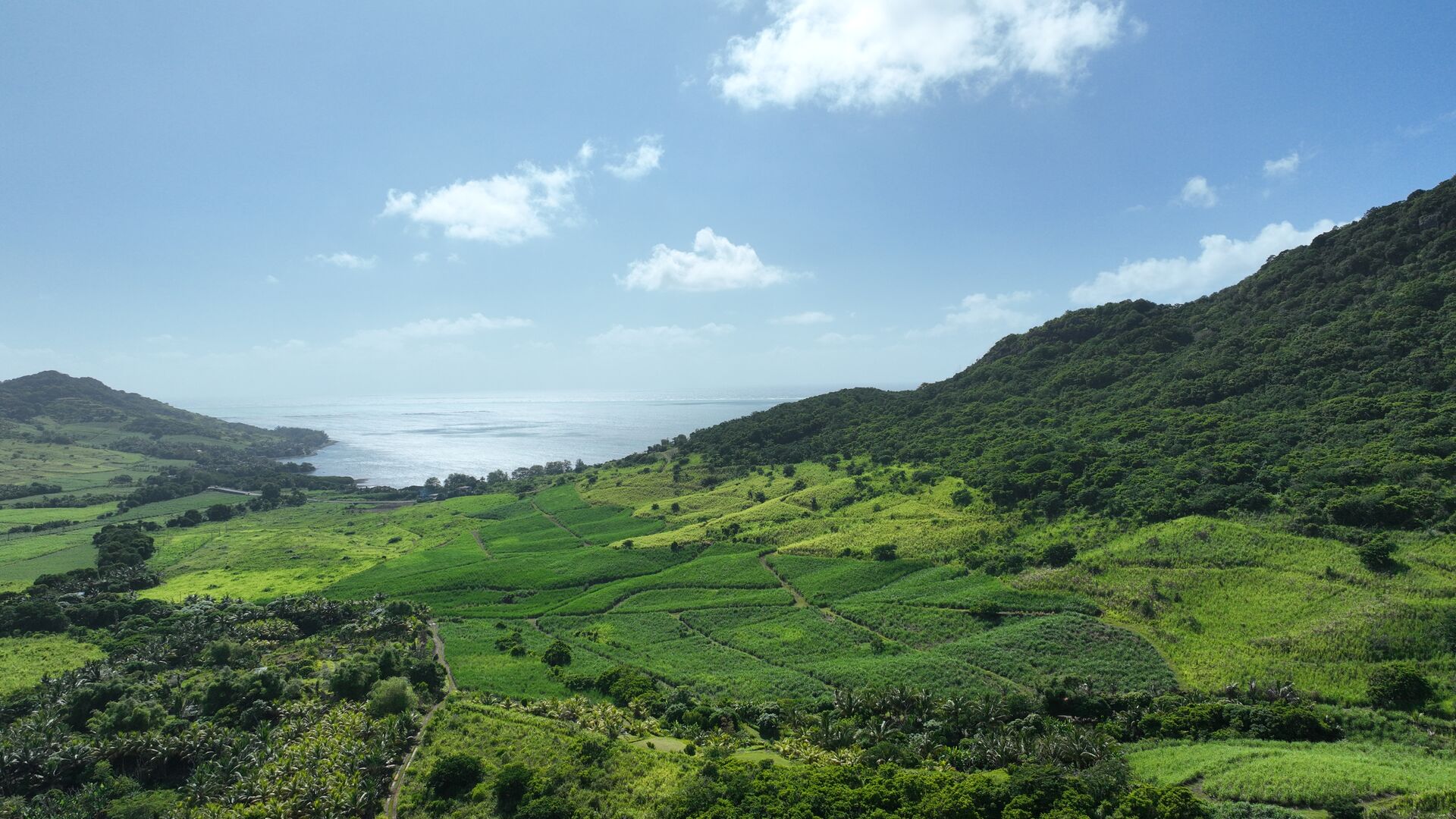 Agricultural land of 6210 m2 for sale in Anse Jonchée, south, Mauritius – LexpressProperty.com | 774798 | Ref01