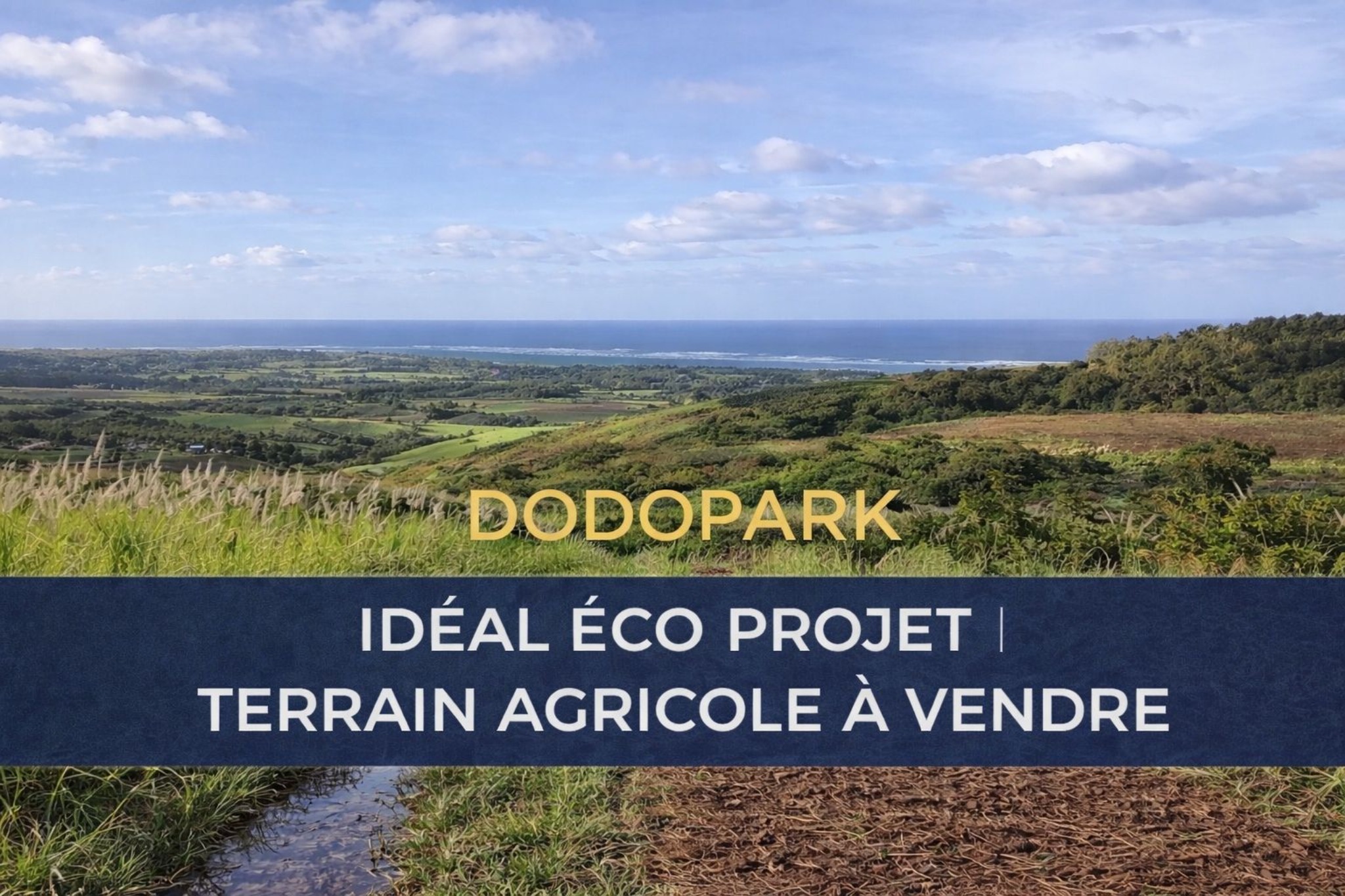 Terrain agricole de 5132.81 m2 en vente à Baie du Cap, sud, île Maurice – LexpressProperty.com | 774994 | Ref01