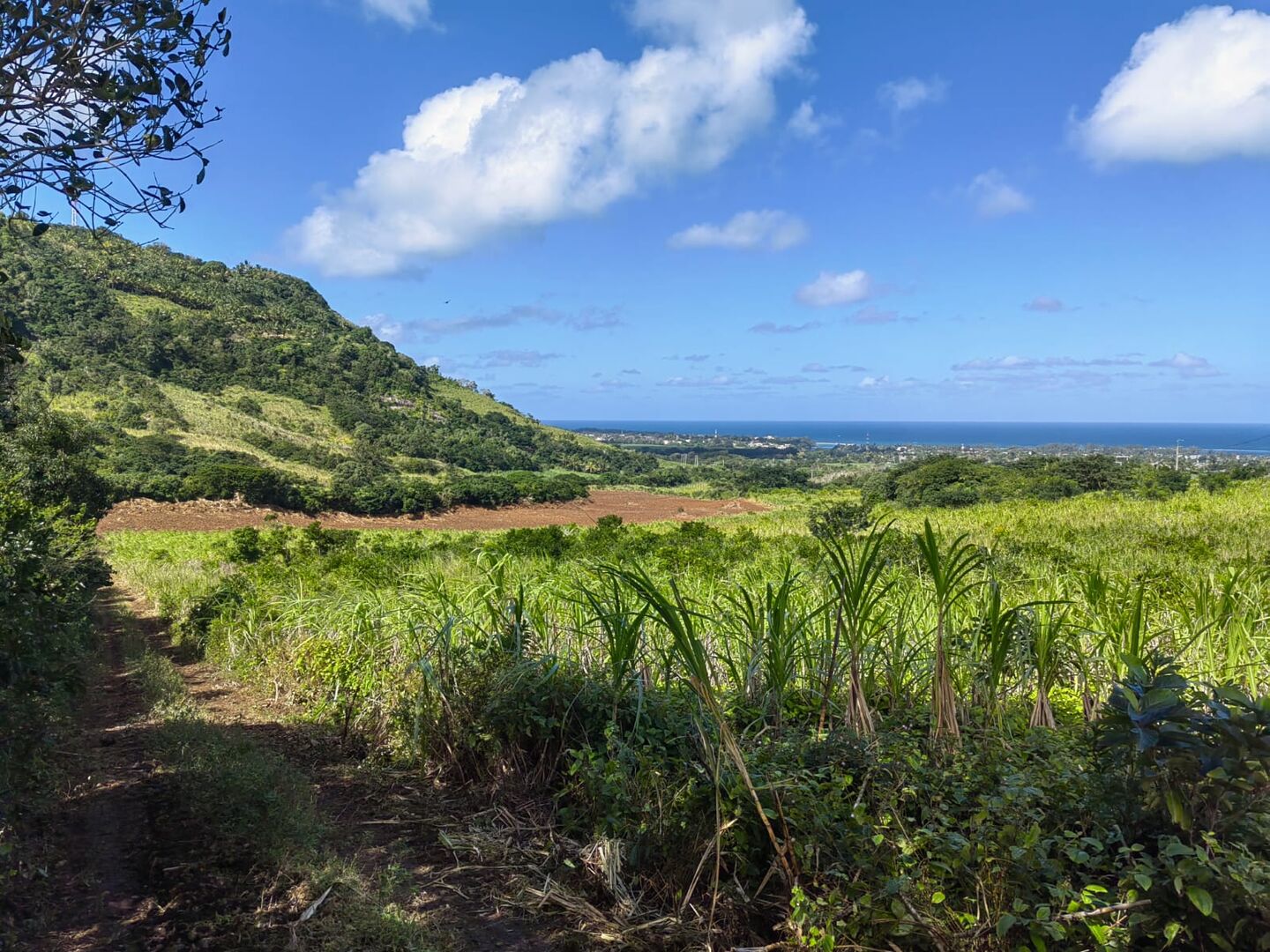 Agricultural land of 21100 m2 for sale in Surinam, south, Mauritius – LexpressProperty.com | 775243 | Ref01
