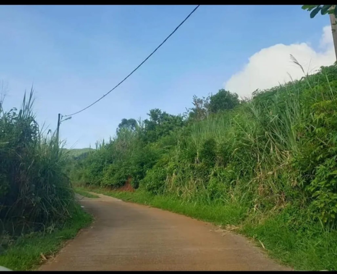 Residential land of 5023 m2 for sale in Chamarel, west, Mauritius – LexpressProperty.com | 775384 | Ref01