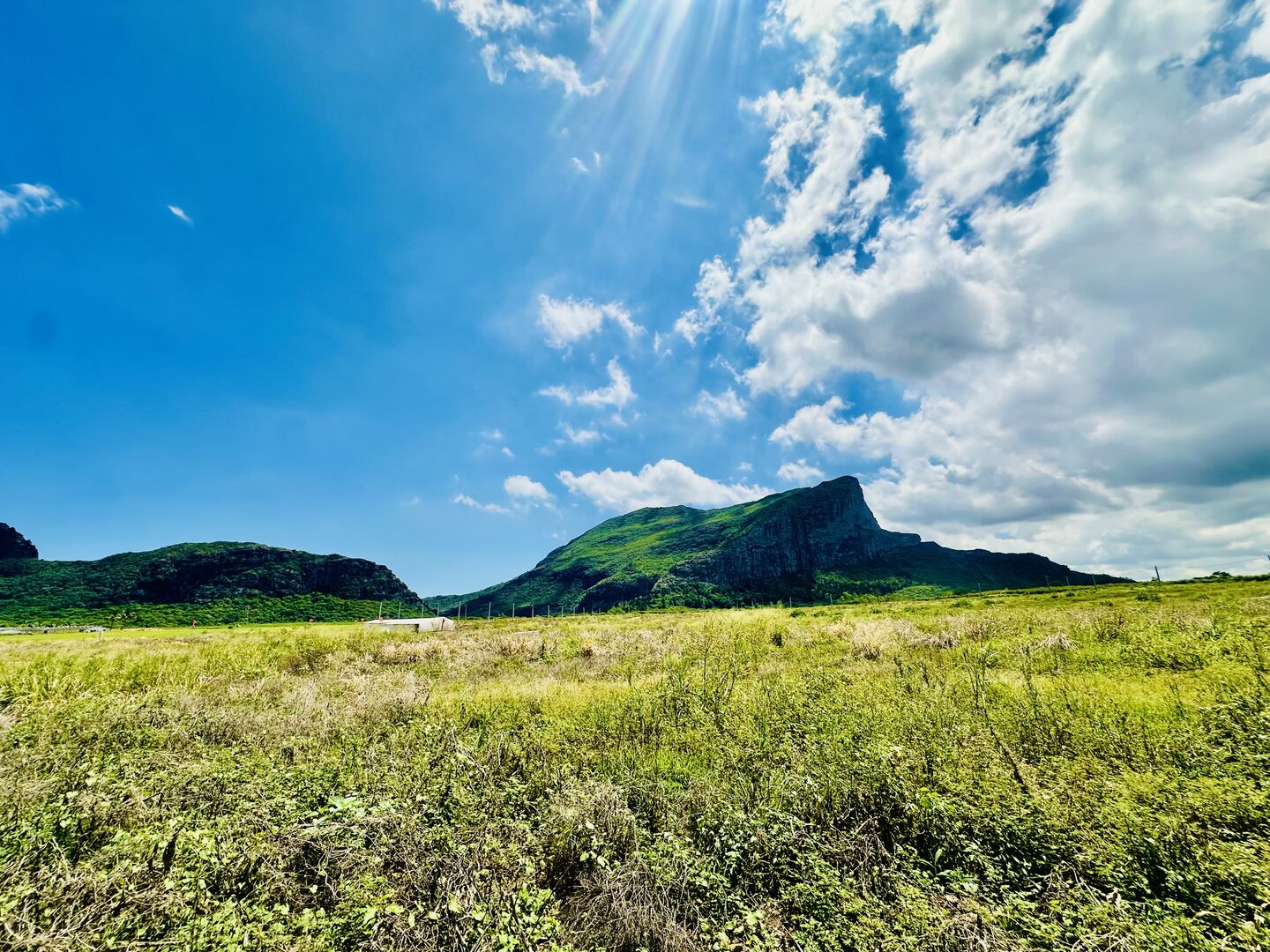 Residential land of 339 m2 for sale in Palma, west, Mauritius – LexpressProperty.com | 775713 | Ref01