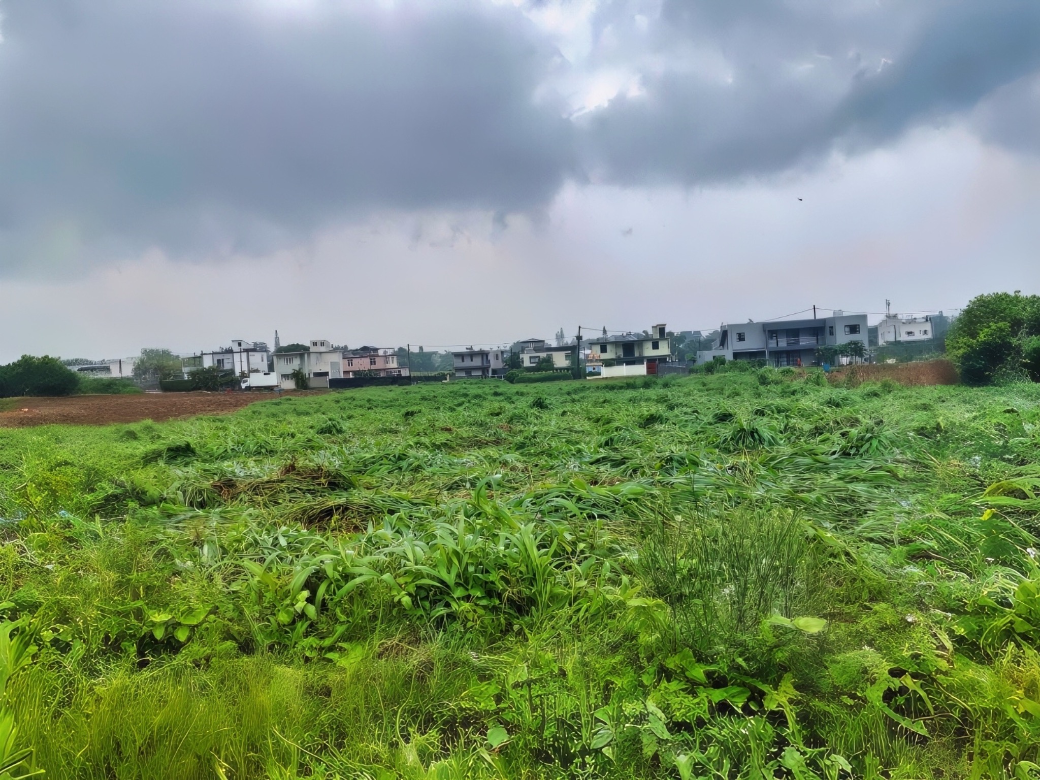 Property – LexpressProperty.com | 770771 | Ref01