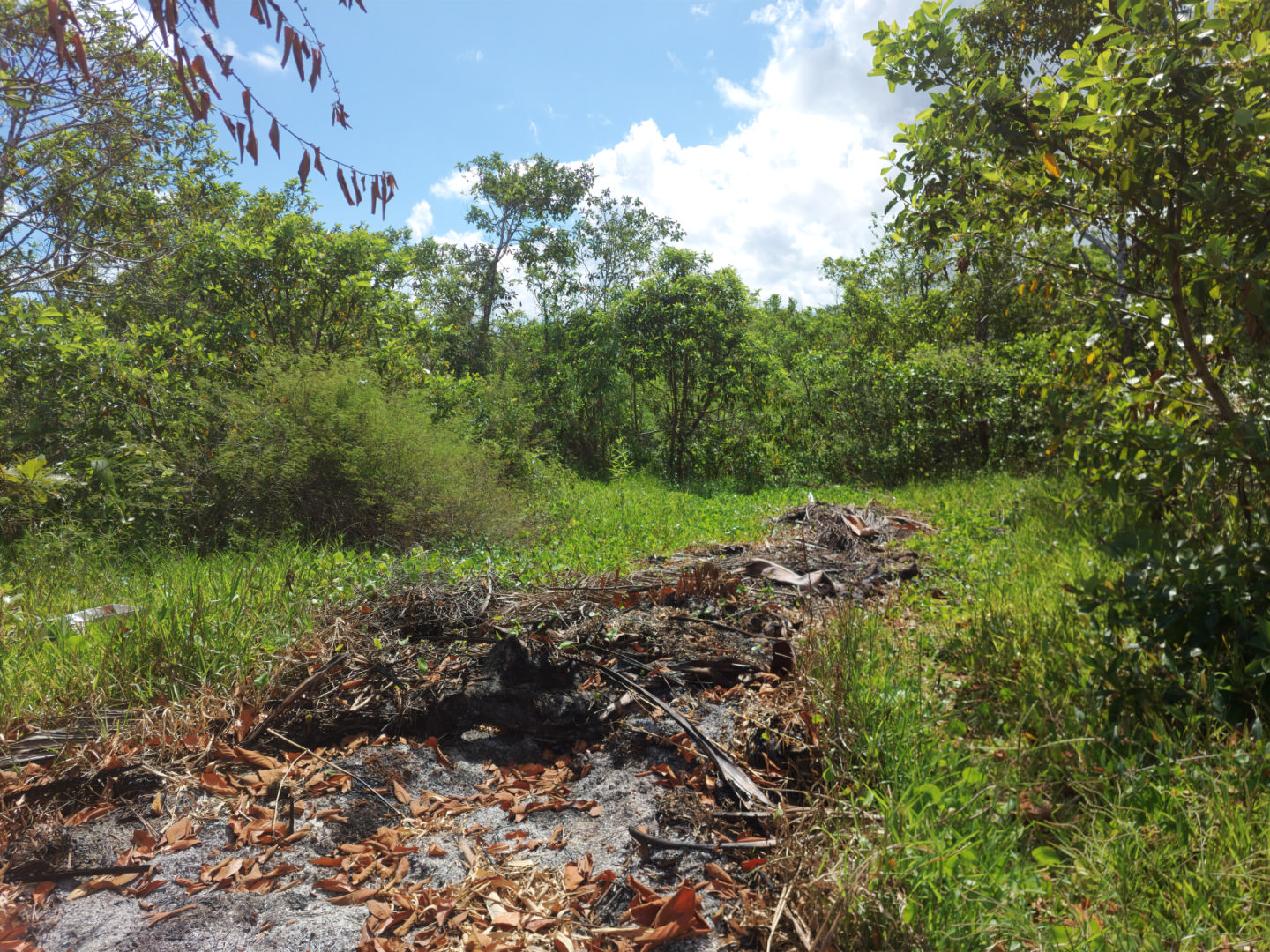 Agricultural land of 4221 m2 for sale in Deux Bras, south, Mauritius – LexpressProperty.com | 771225 | Ref01