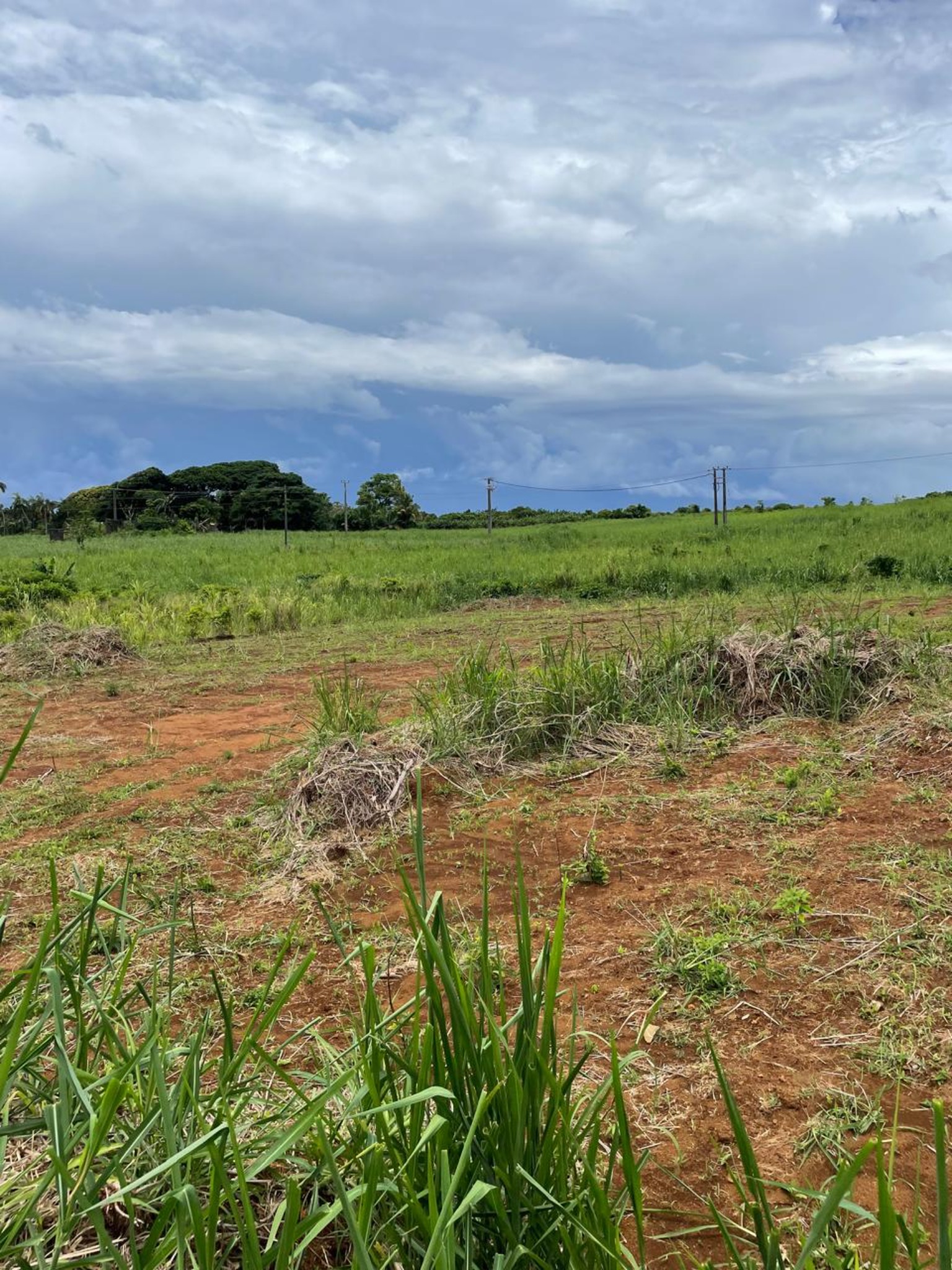 Agricultural land of 7750 m2 for sale in Surinam, south, Mauritius – LexpressProperty.com | 771770 | Ref01