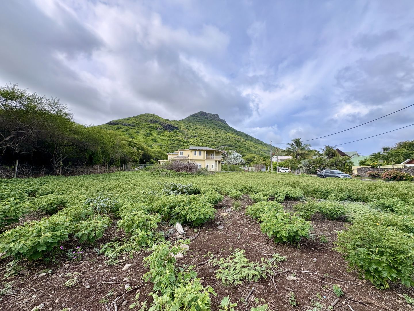 Terrain résidentiel de 1112 m2 en vente à Tamarin, ouest, île Maurice – LexpressProperty.com | 772395 | Ref01