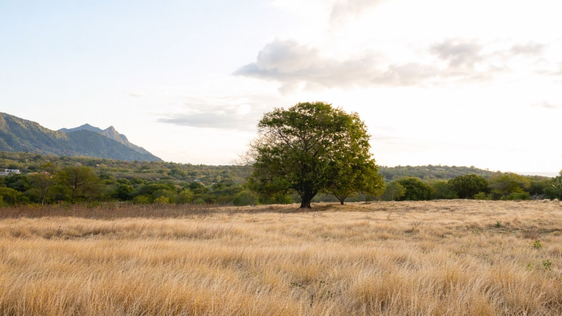 Residential land of 1745 m2 for sale in Petite Rivière Noire, west, Mauritius – LexpressProperty.com | 762654 | Ref01