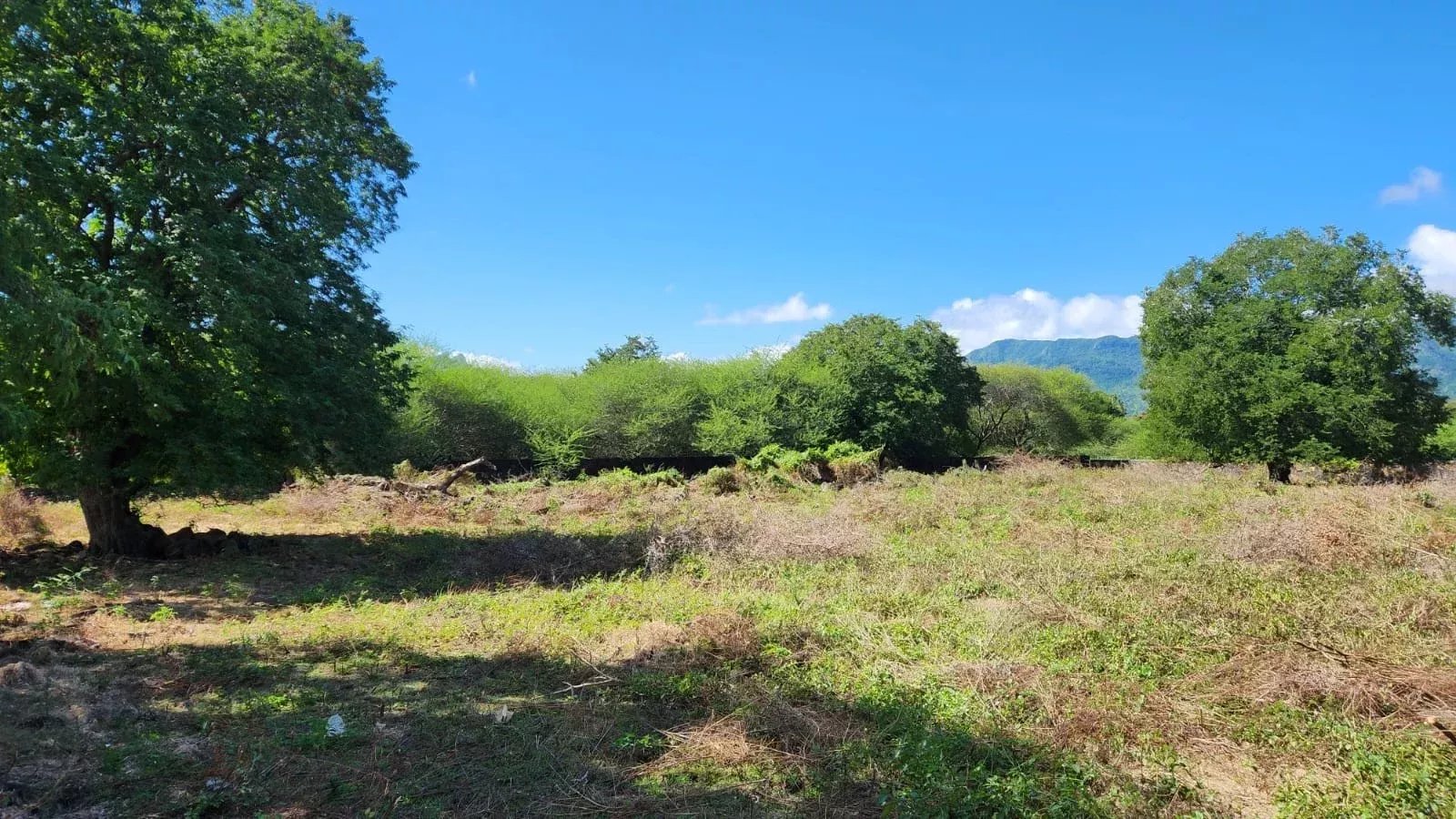 Property – LexpressProperty.com | 778793 | Ref01