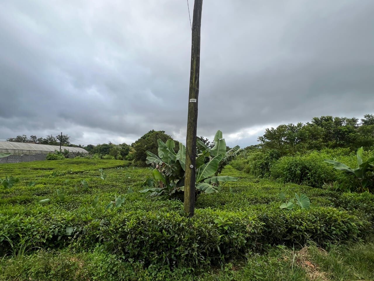 Residential land of 903 m2 for sale in Nouvelle France, south, Mauritius – LexpressProperty.com | 779001 | Ref01