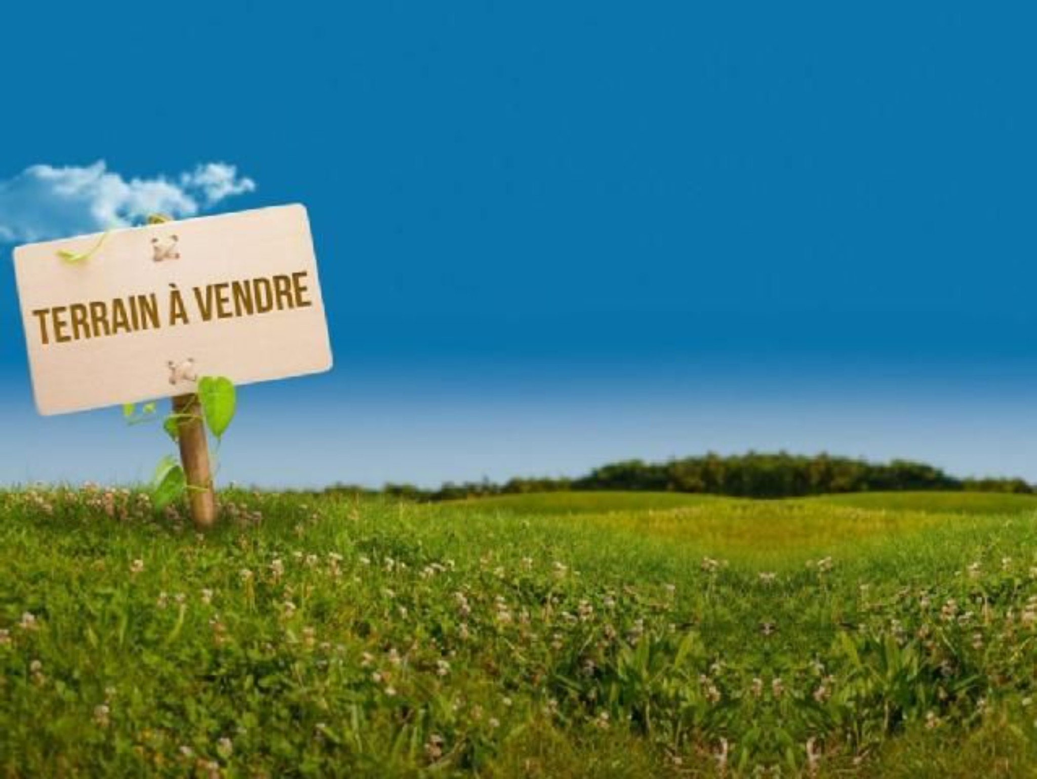 Residential land of 6964.65 m2 for sale in Bain Boeuf, north, Mauritius – LexpressProperty.com | 779382 | Ref01