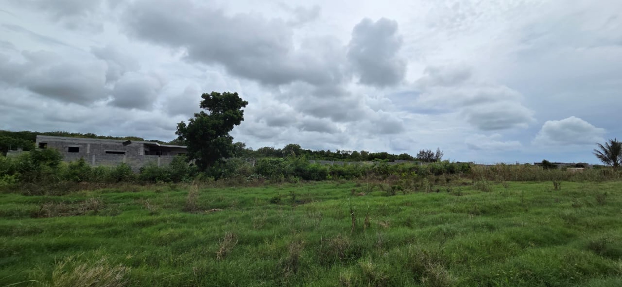 Property – LexpressProperty.com | 779595 | Ref01