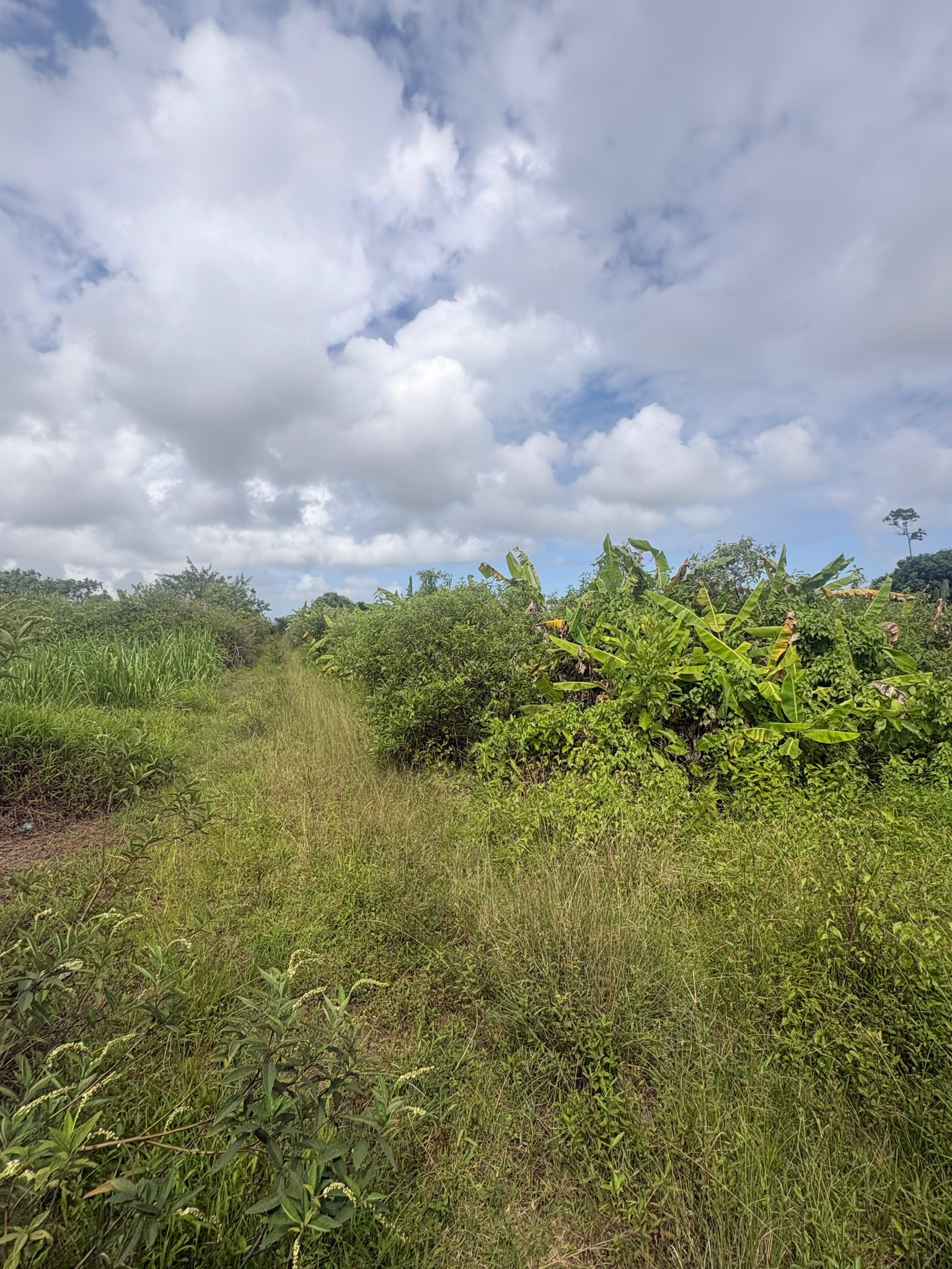 Property – LexpressProperty.com | 773905 | Ref01