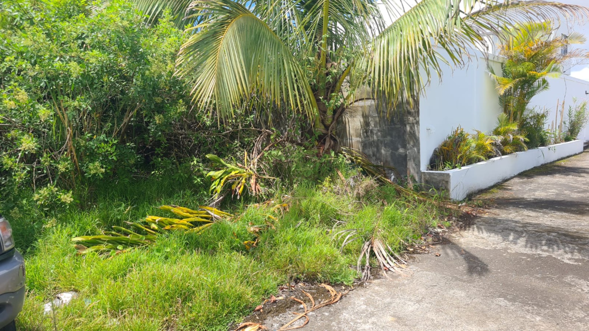 Property – LexpressProperty.com | 780027 | Ref01
