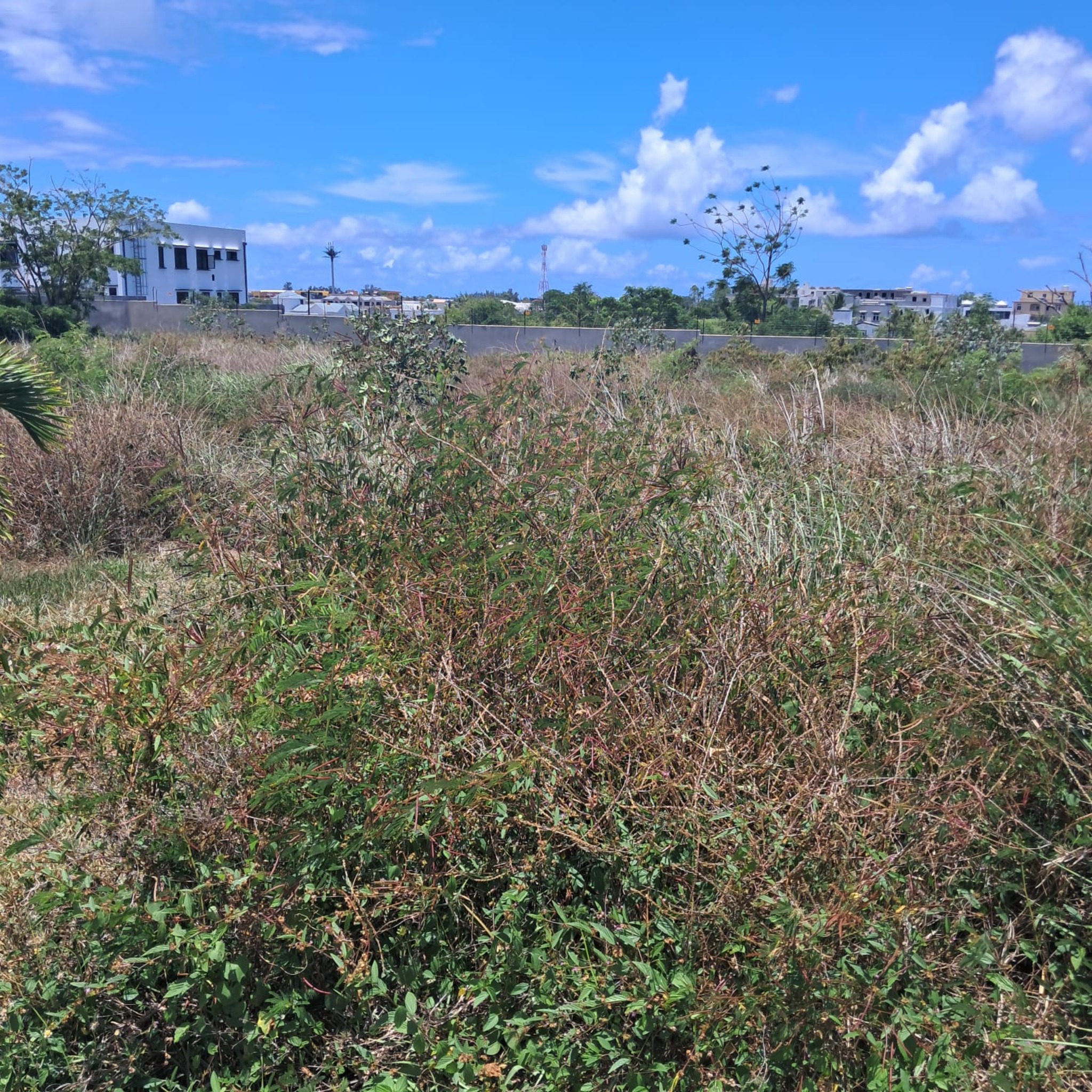 Property – LexpressProperty.com | 780583 | Ref01