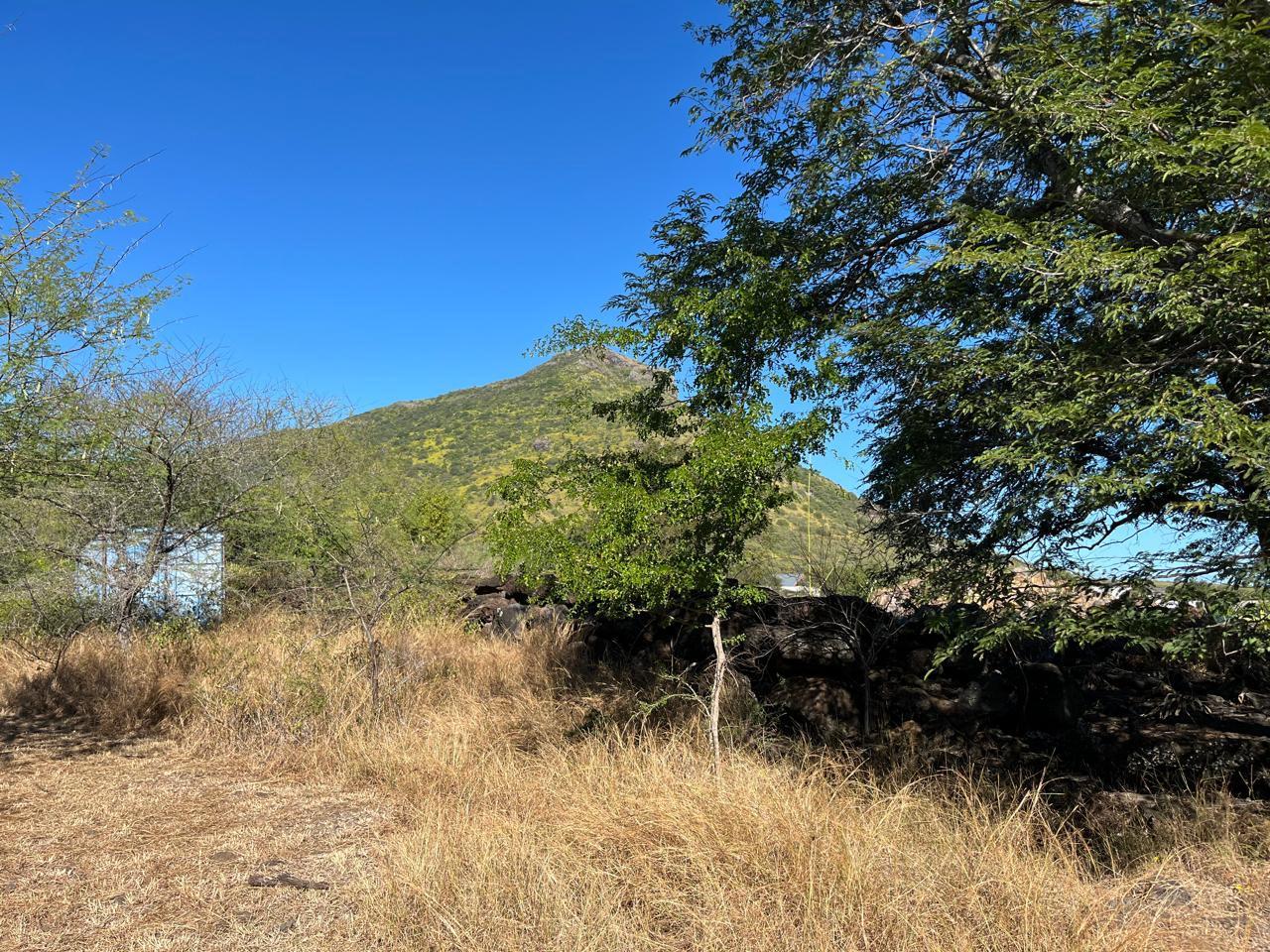 Terrain résidentiel de 3311 m2 en vente à Tamarin, ouest, île Maurice – LexpressProperty.com | 780770 | Ref01