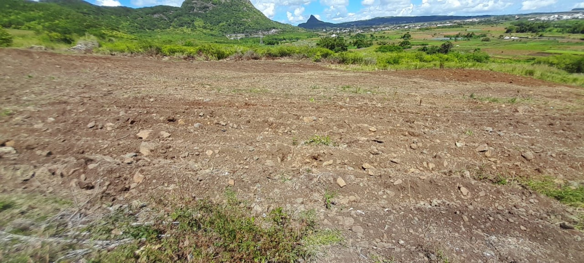 Property – LexpressProperty.com | 781504 | Ref01