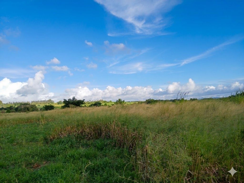 Agricultural land of 11100.8881 m² for sale in Triolet, north, Mauritius – LexpressProperty.com | 782557 | Ref01