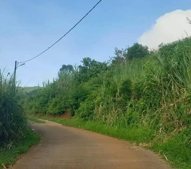 Agricultural land of 5022 m2 for sale in Chamarel, west, Mauritius – LexpressProperty.com | 782545 | Ref01