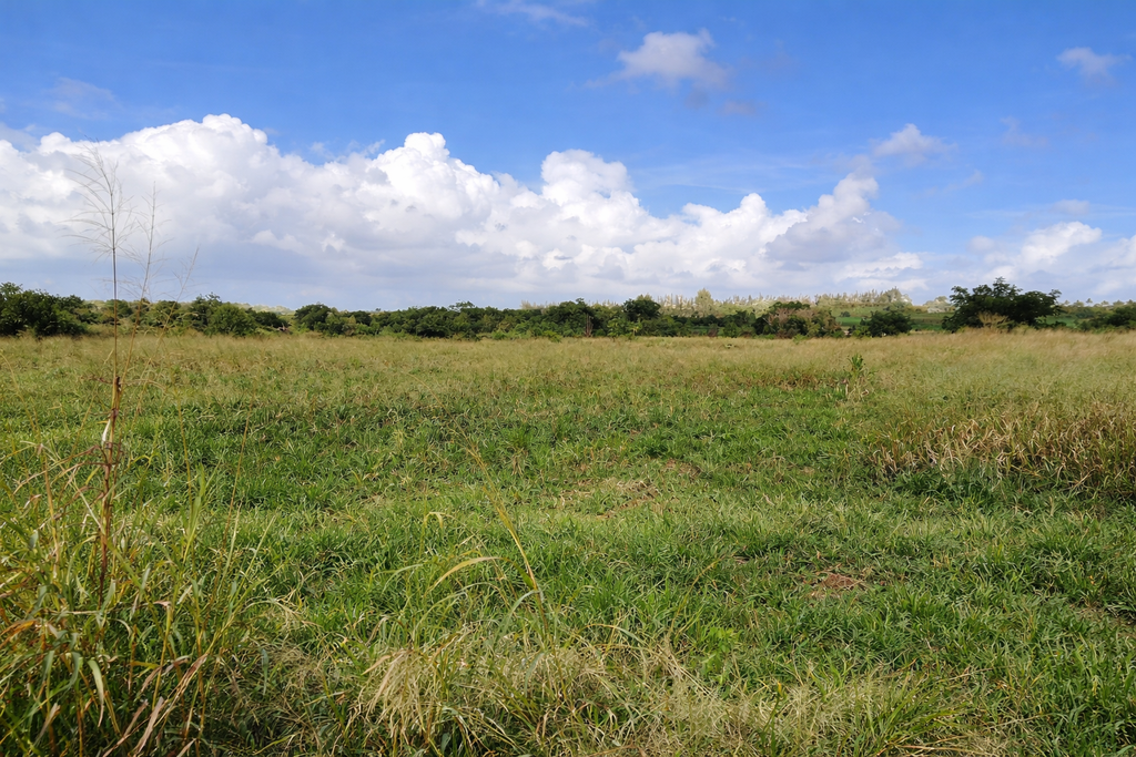 Agricultural land of 8441.74 m² for sale in Triolet, north, Mauritius – LexpressProperty.com | 782558 | Ref01